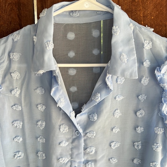 Sheer Blue Ruffly Blouse - Picture 2 of 5